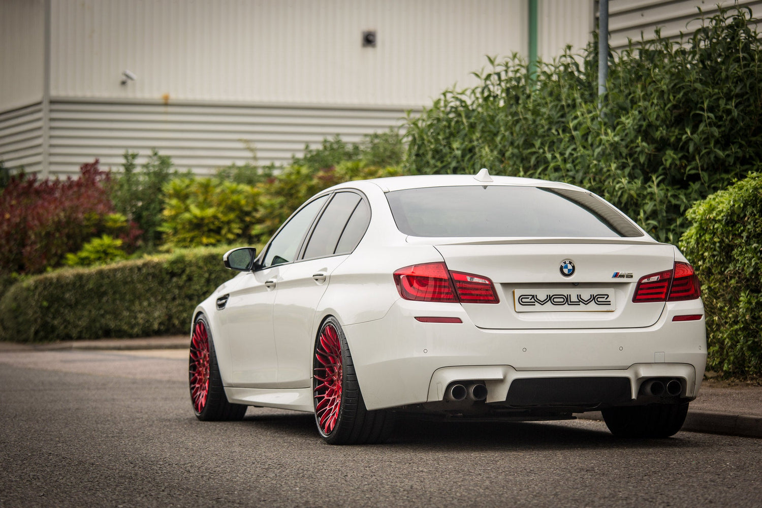 Project Great White - BMW F10 M5