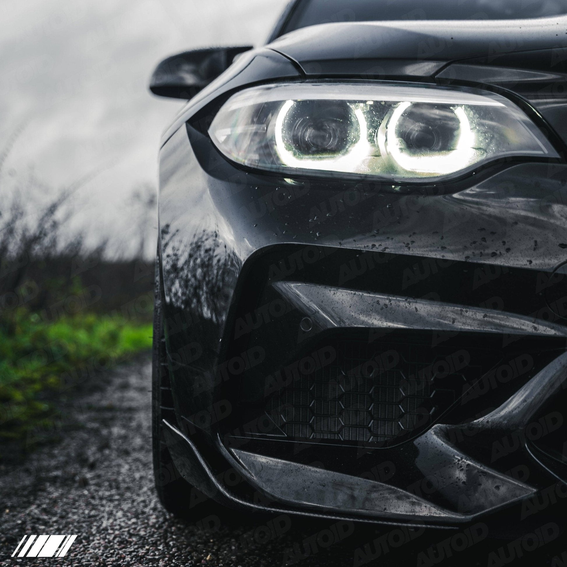 Carbon Fibre Performance Front Blades for BMW M2 (2015 - 2018, F87) - Evolve Automotive