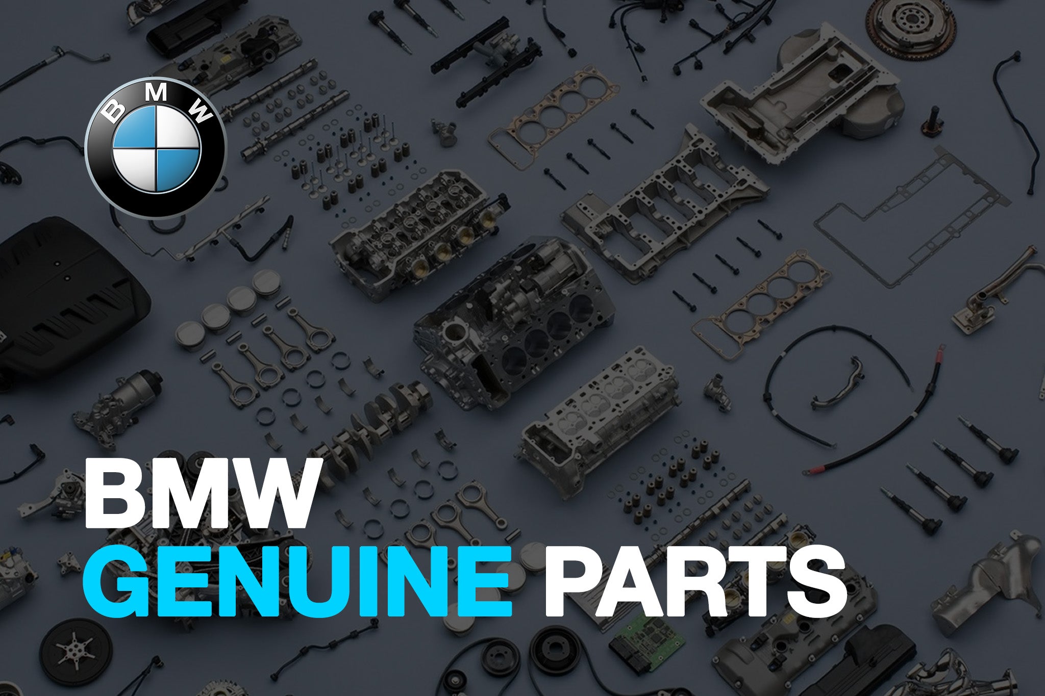 Crank Hub + Timing Chain Installation Parts - BMW F80 M3 | F82 M4 | F83 M4 | F87 M2C - Evolve Automotive