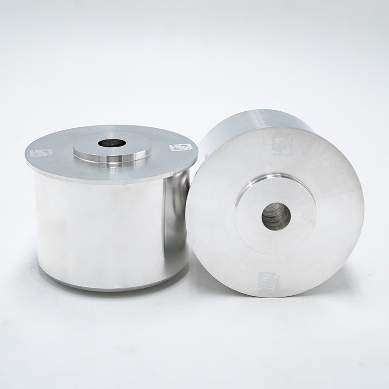 Suspension Secrets Solid Rear Subframe Bushes - BMW 1M - Evolve Automotive