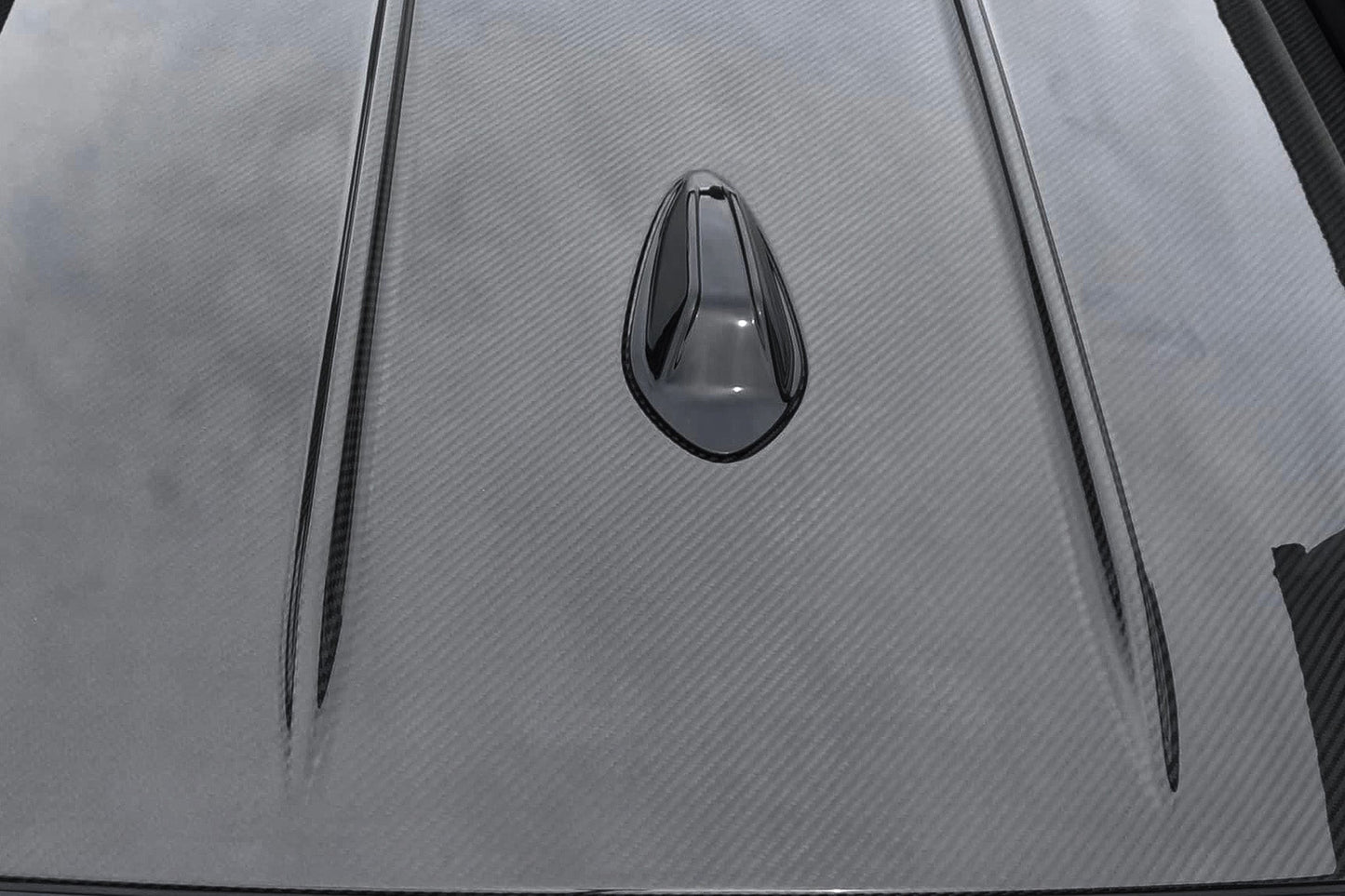 Alpha N Carbon Roof - BMW 3 Series G81 M3 - Evolve Automotive